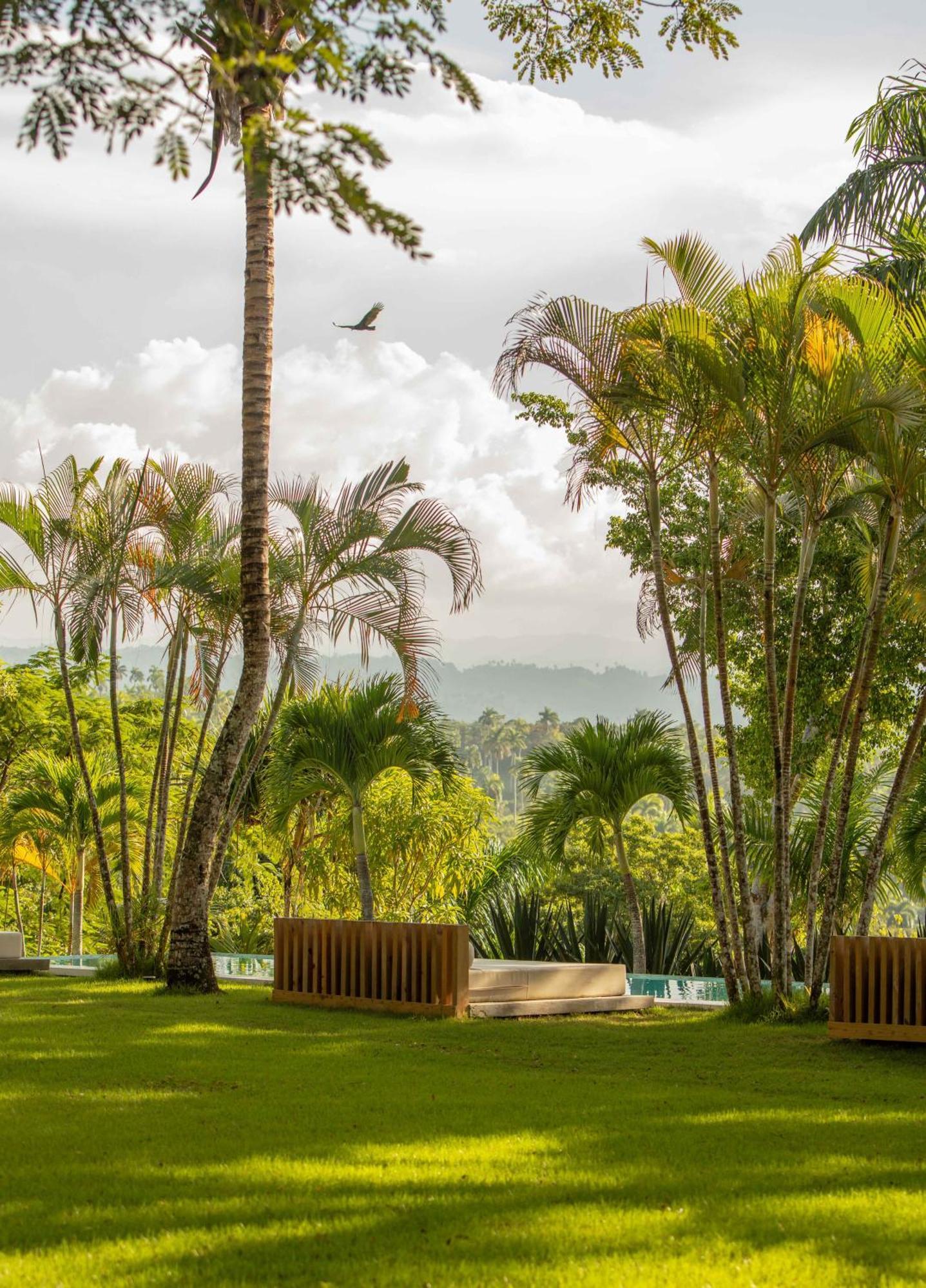Oya - Wellness Eco Resort & Retreat Jamao al Norte Luaran gambar